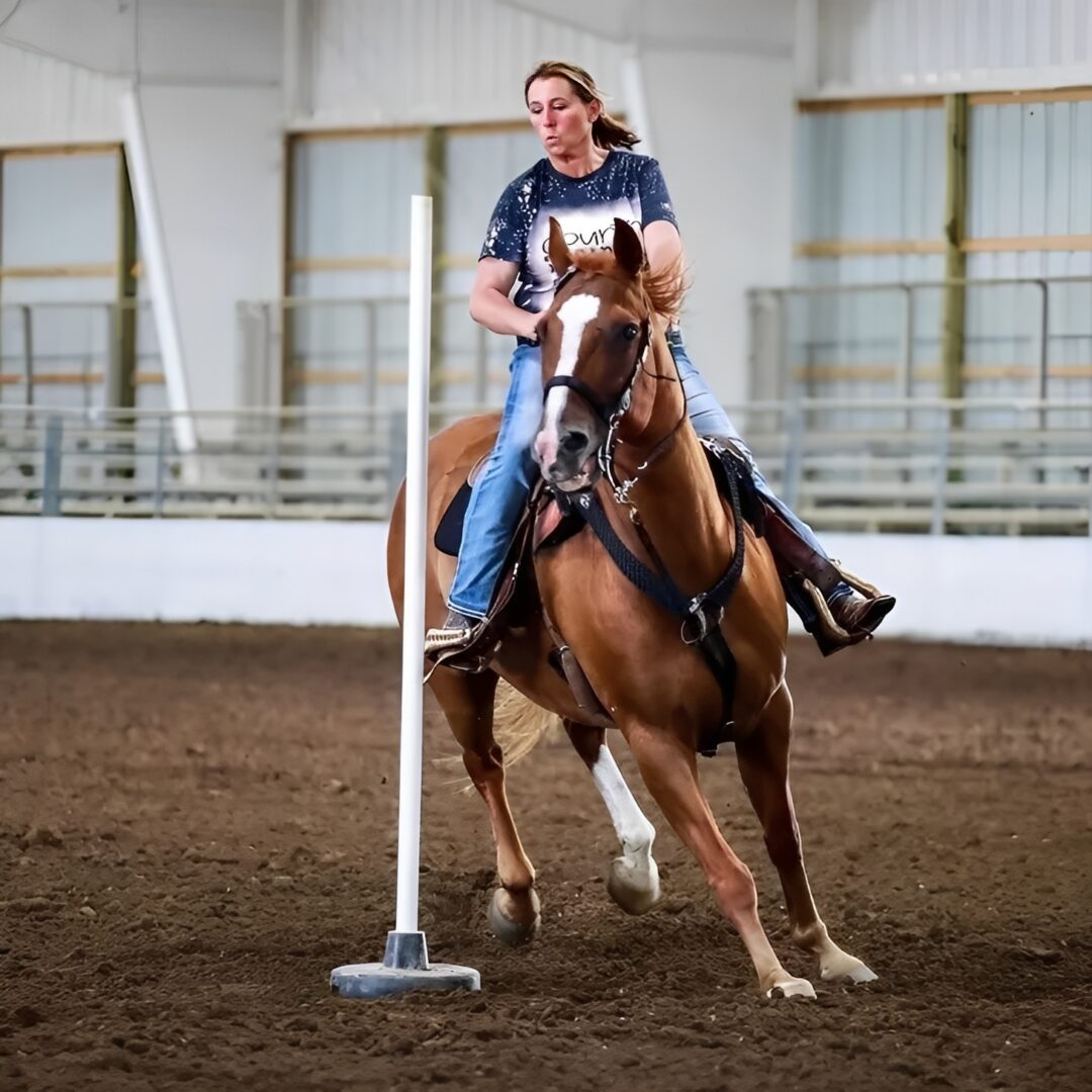 Equestrian practicing in indoor arena