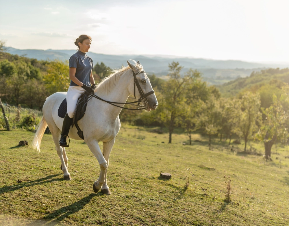 Woman riding a white horse in countryside