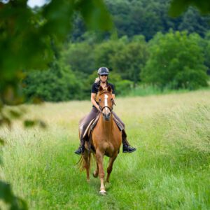 Equestrian enjoying a countryside ride