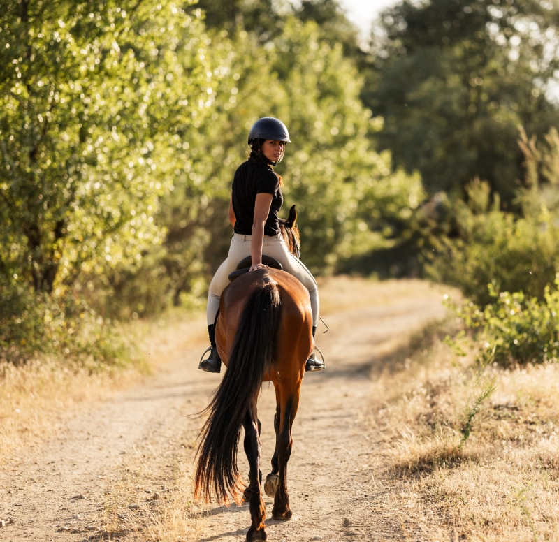 Person horseback riding on sunlit forest path
