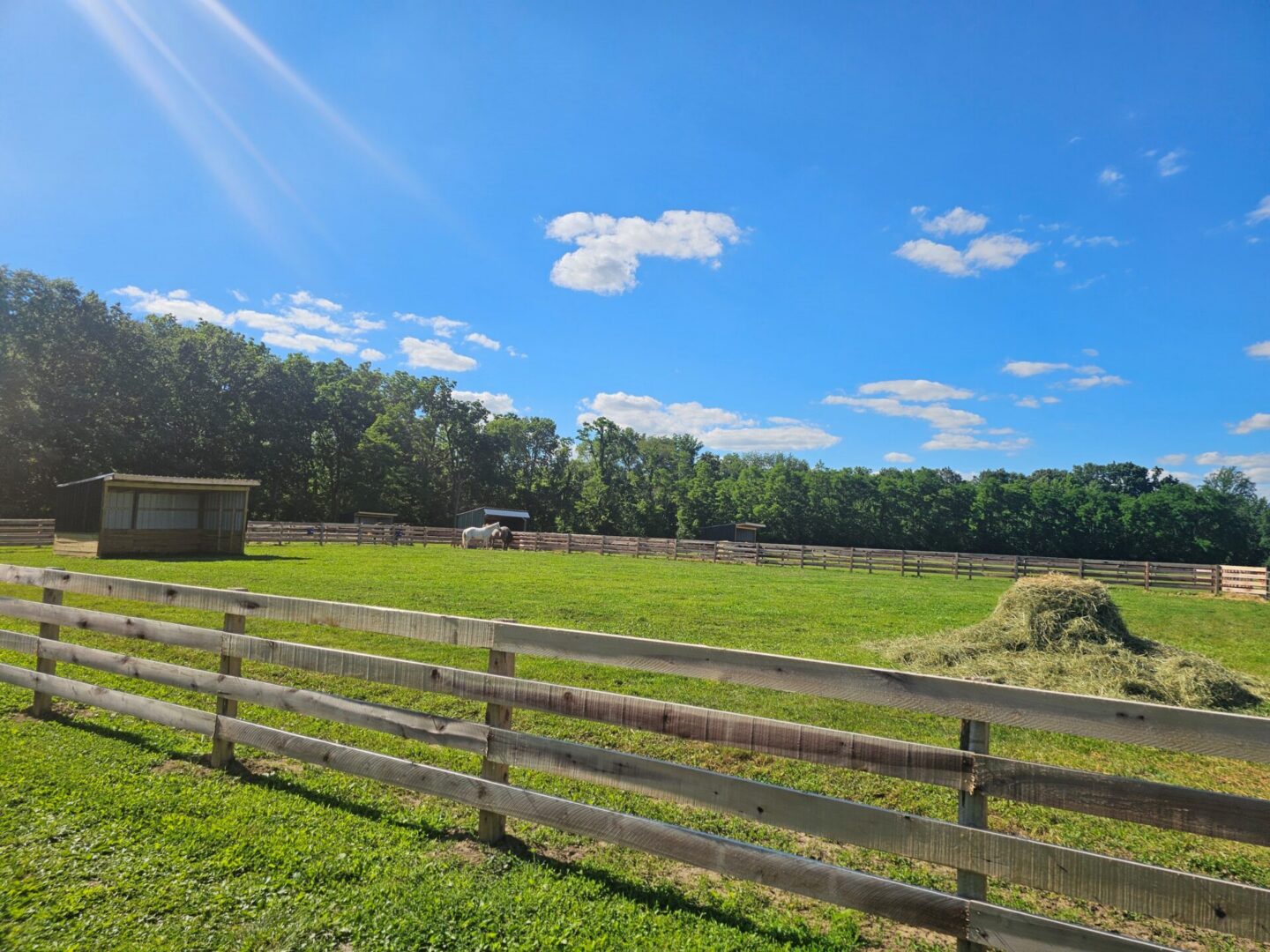Sunlit fenced pasture with hay pile