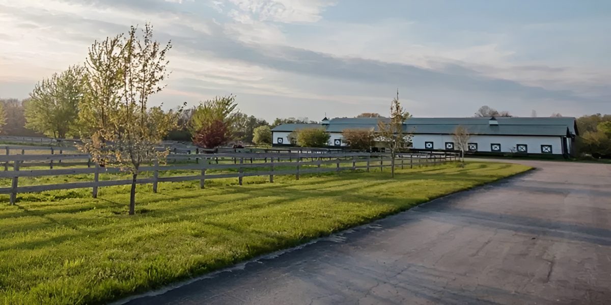 Countryside road leading to a barn