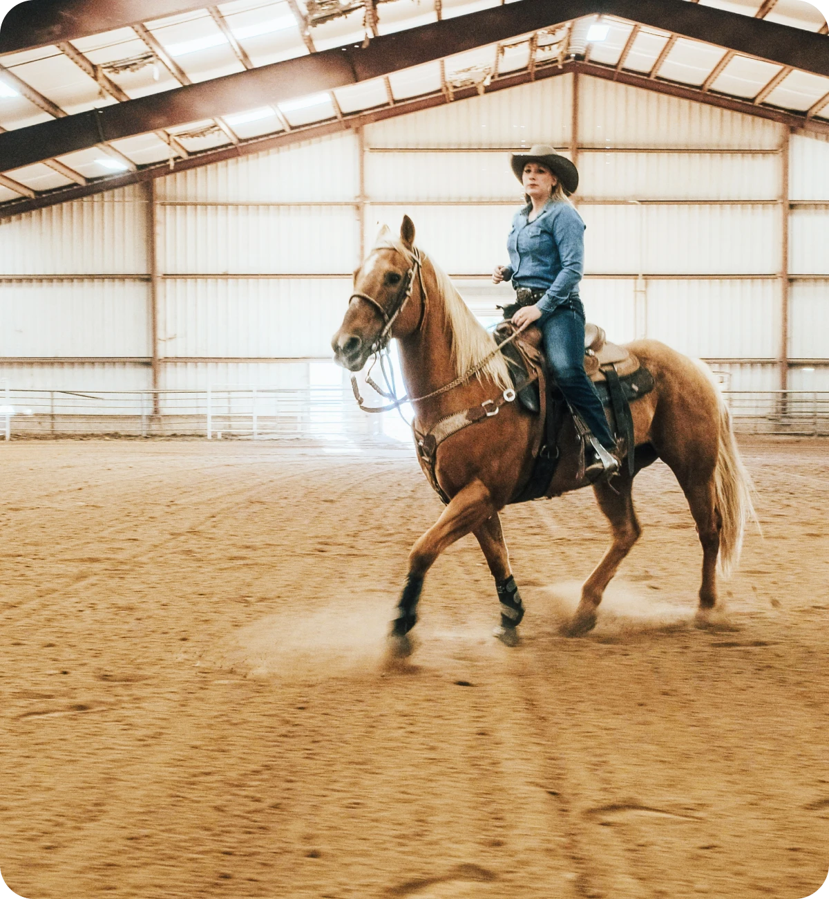 Horseback rider in denim outfit