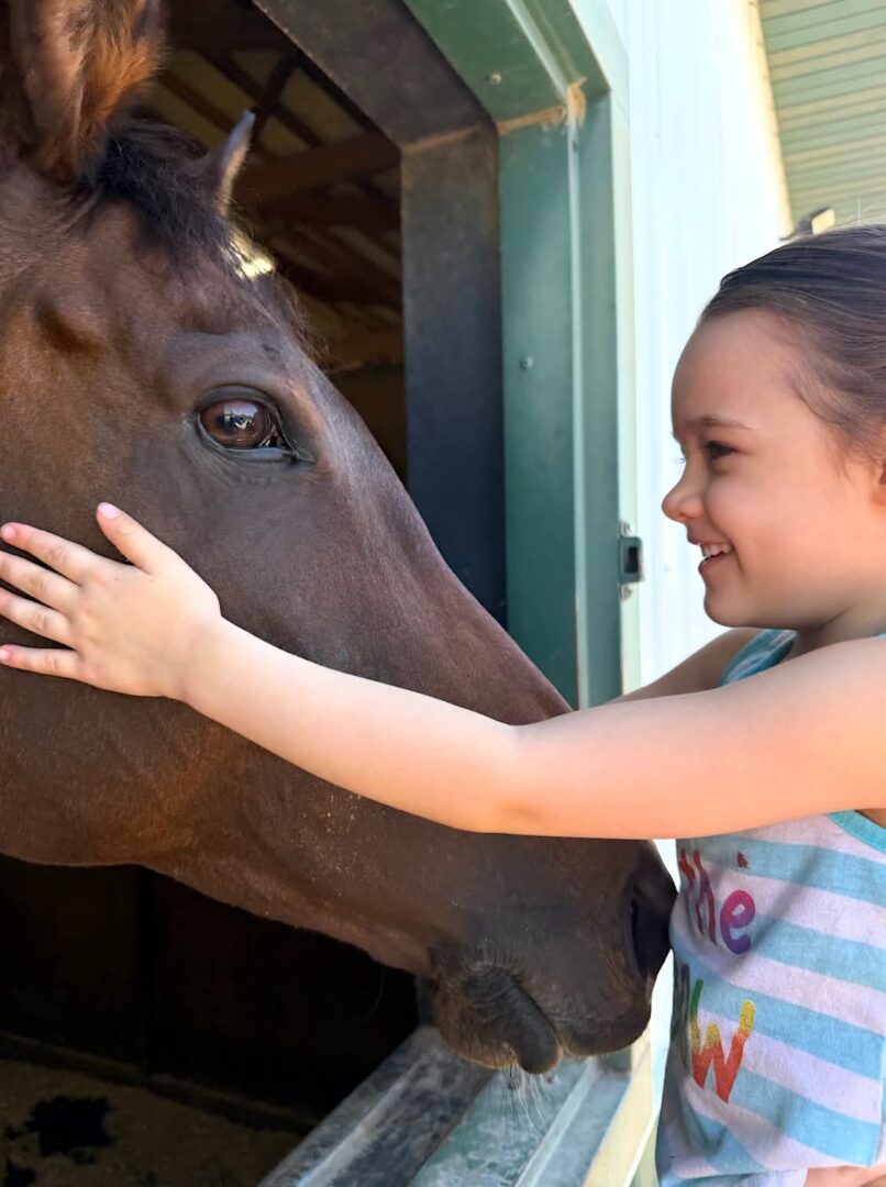 Young girl petting horse at stable window