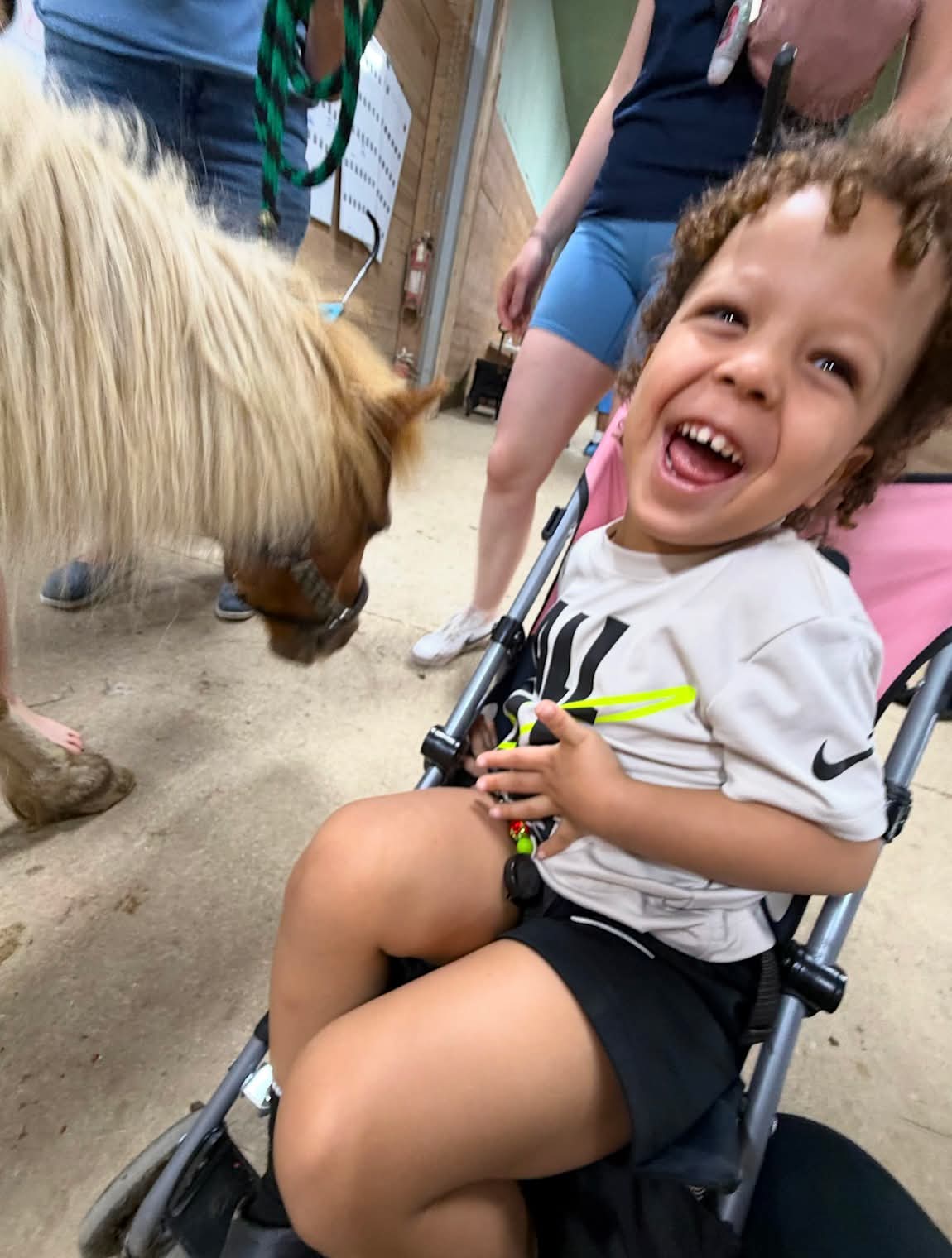 Laughing child in stroller with pony