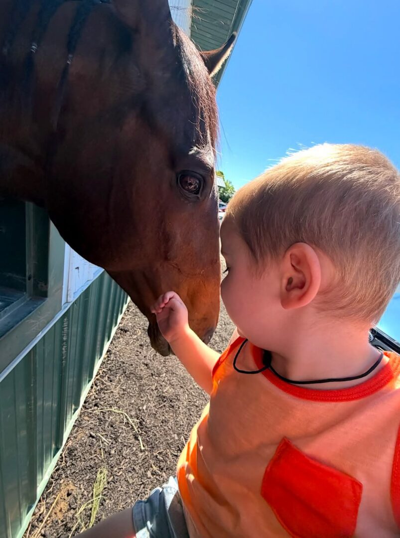Toddler touching horse nose at stable