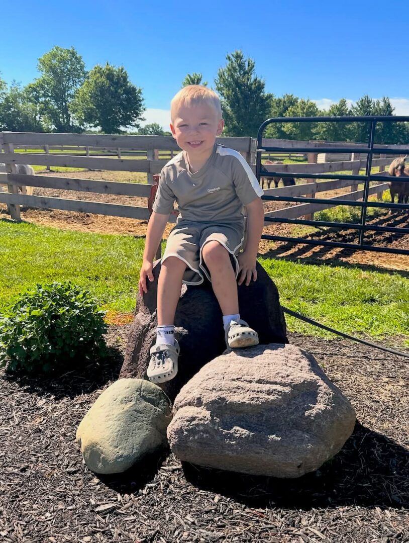 Smiling boy on rock at sunny farm