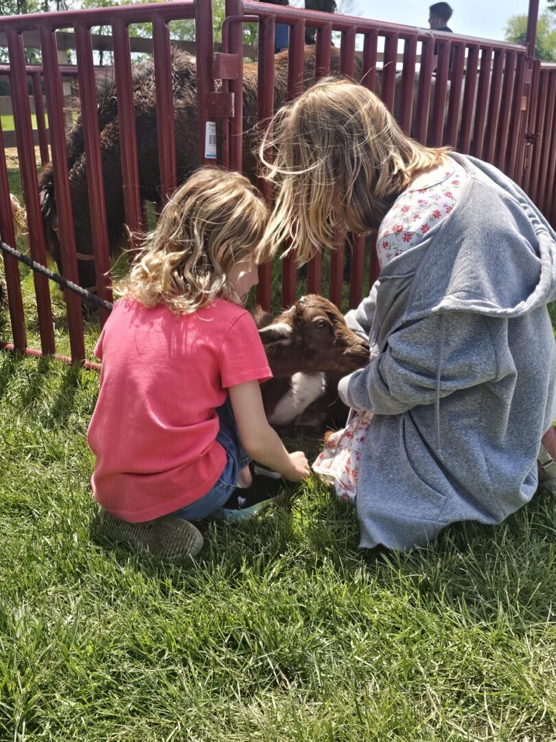 Children petting small brown goat by red fence
