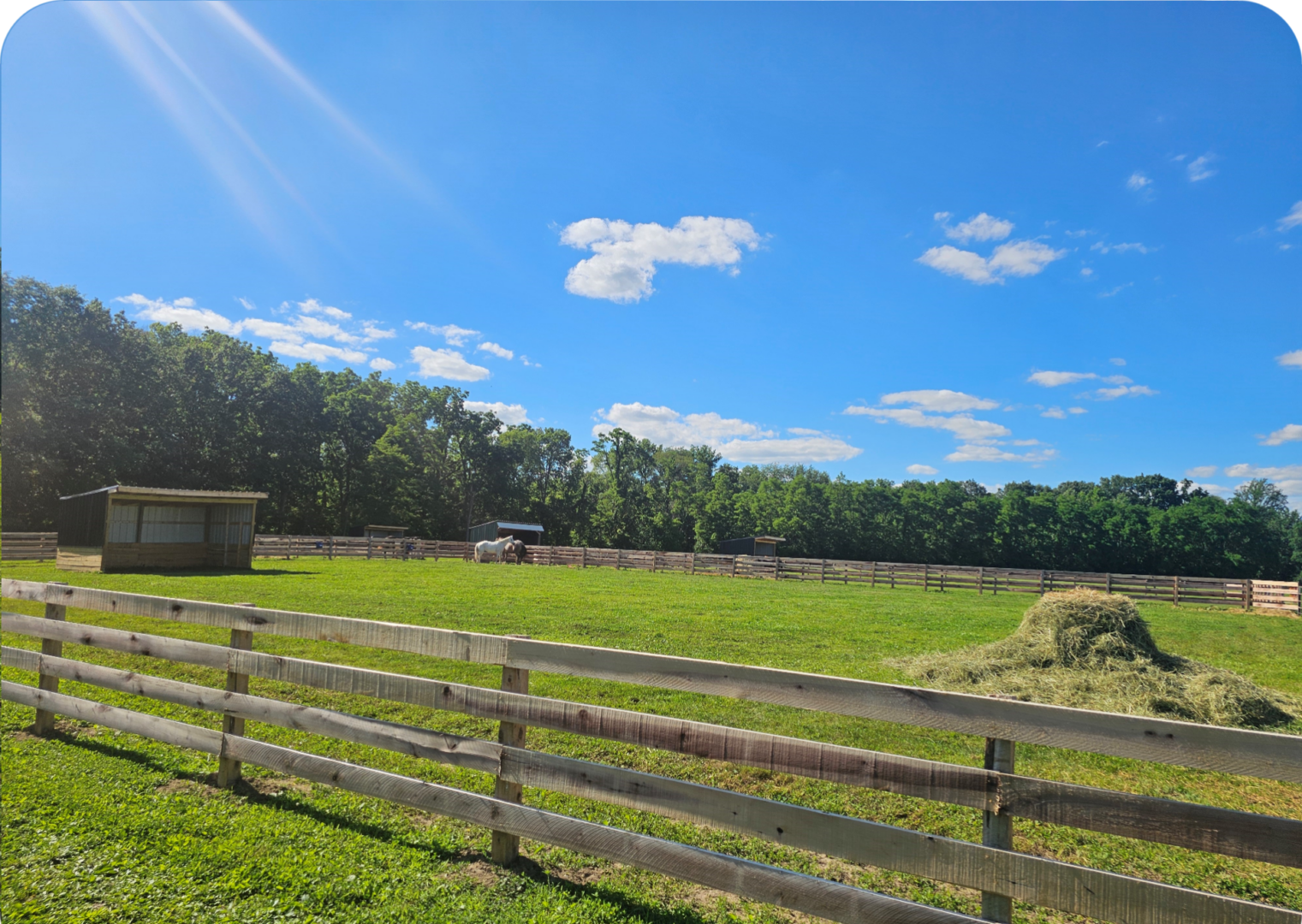Sunny pasture with wooden fence and hay